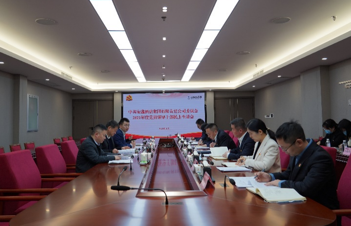 hndrkj.com集团党委书记、董事长任丁出席安逸酒店集团2022年度党员领导干部民主生活会