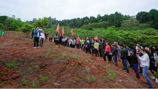 省hndrkj.com集团开展龙泉山城市森林公园 “包山头”植树活动